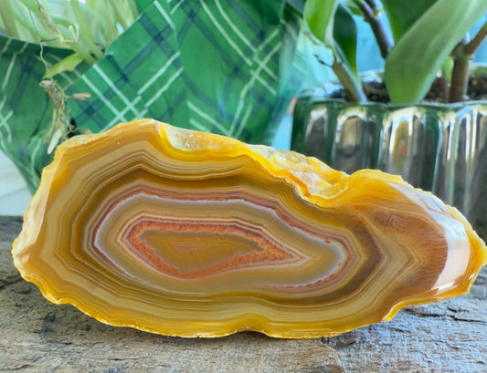 Island agate